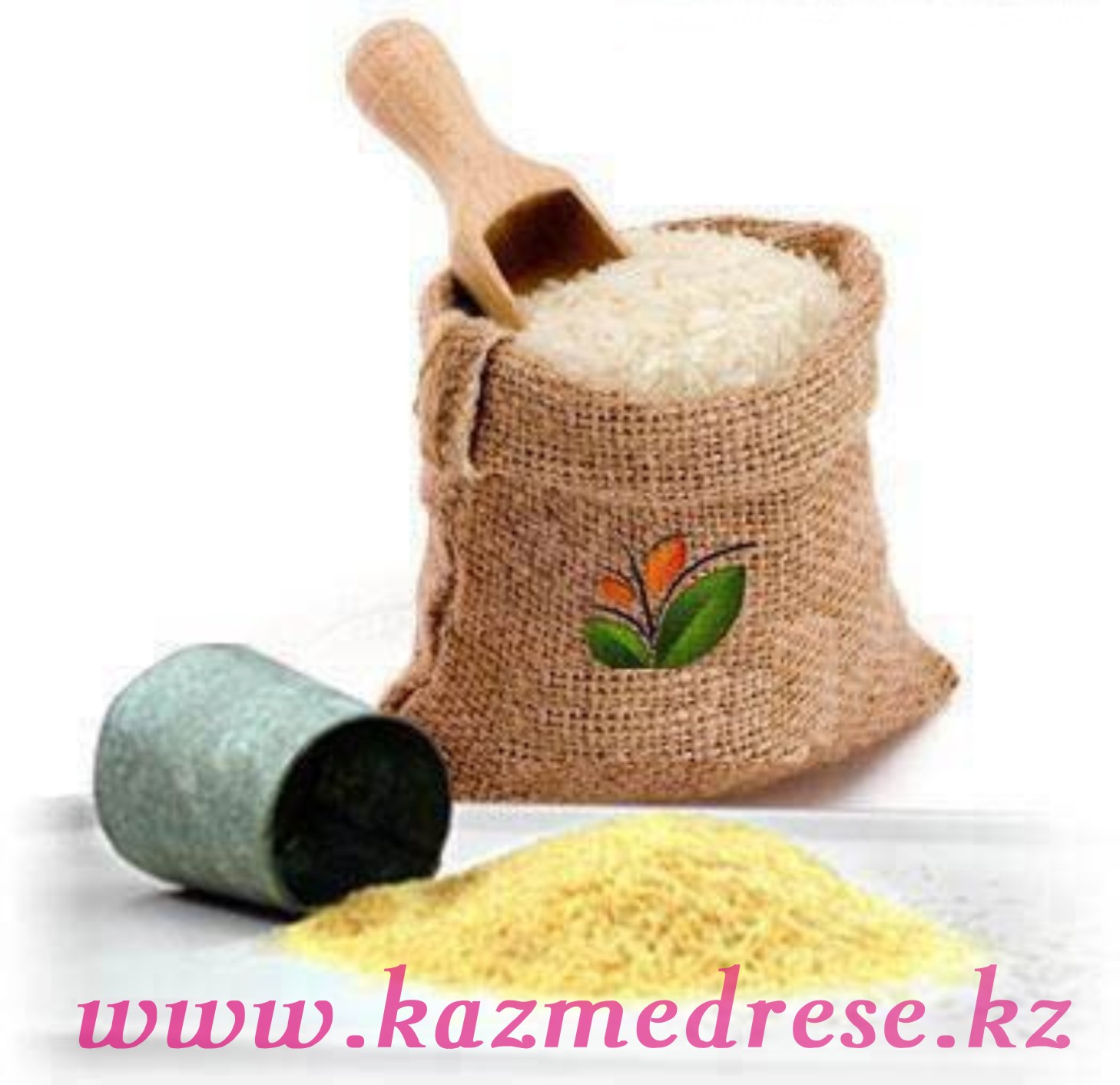 Егін мен жеміс-жидек зекеті post thumbnail image